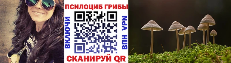 Псилоцибиновые грибы MAGIC MUSHROOMS  где можно купить наркотик  Дмитровск 